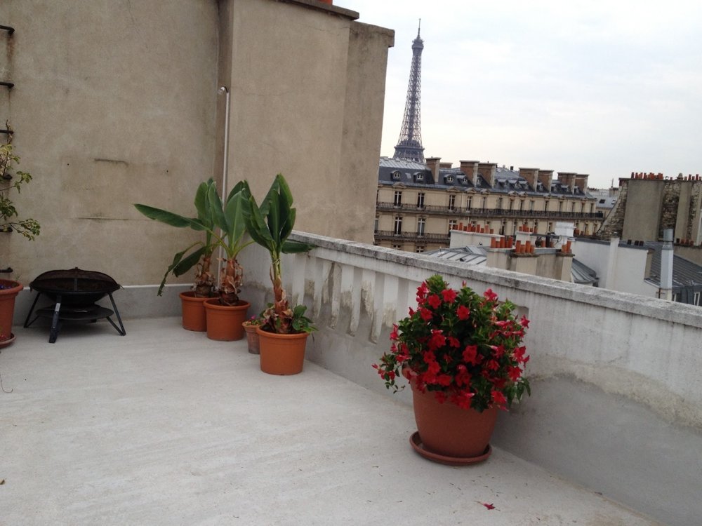 Potted plants and Eiffel Tower views from the optional sixth-floor rooftop terrace.